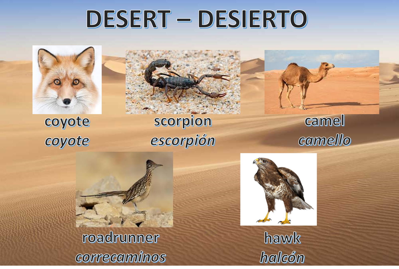 INGLÉS CECYTEM IZCALLI 2020