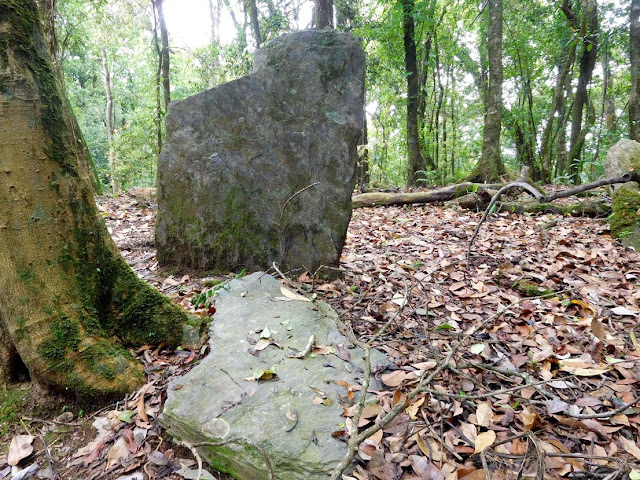 Monoliths inside the Mawphlang Sacred Forest, Meghalaya