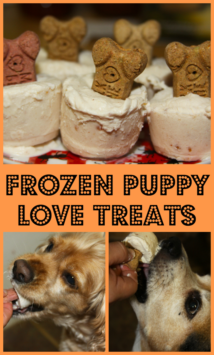 For the Love of Food Frozen Puppy Love Treats Pet Parents site by K9