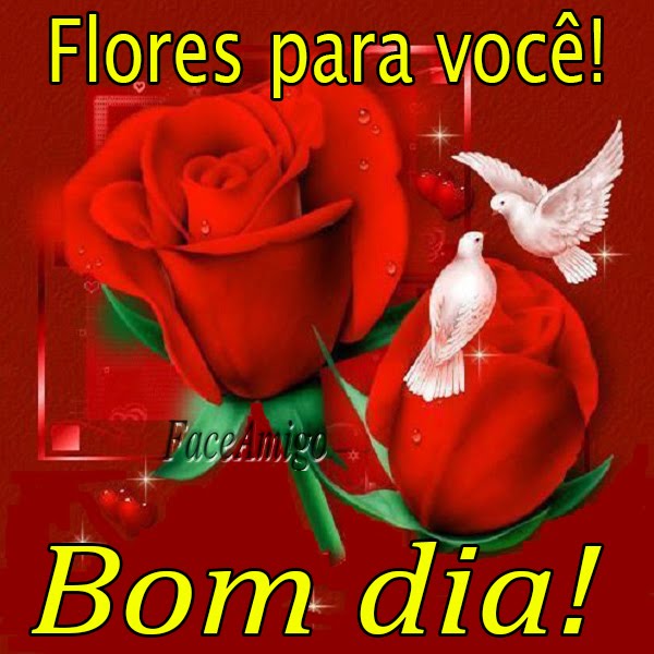 Bom dia Pense o Amanhã: Imagens de Bom Dia