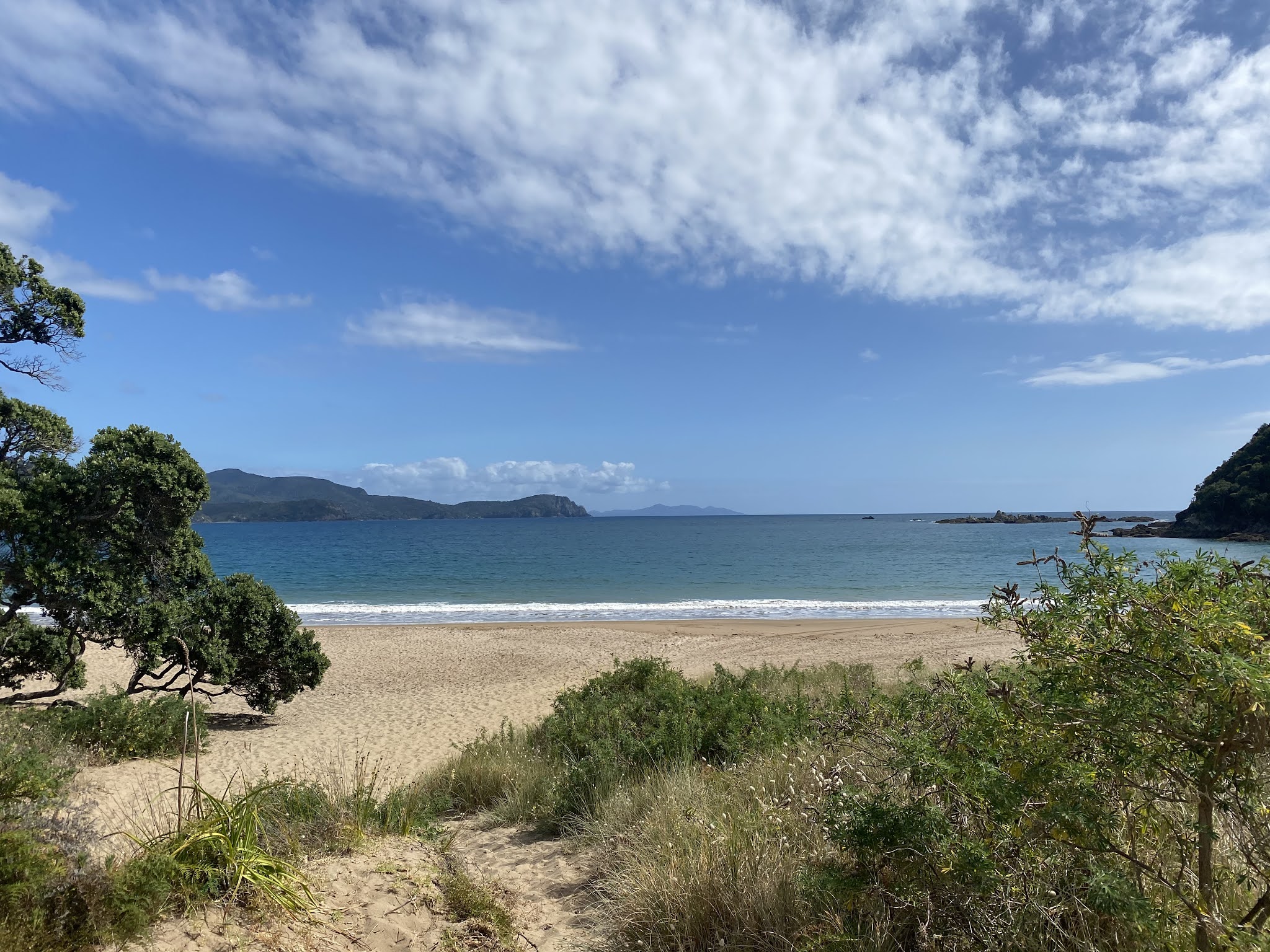 Alessandra Zecchini Little Bay, Coromandel, New Zealand