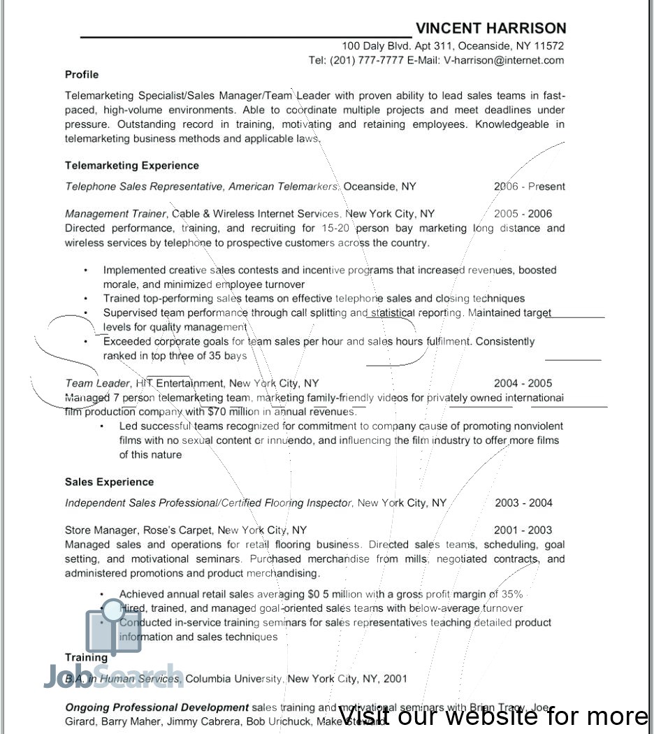 sales professional resume sample sales professional resume example sales professional summary