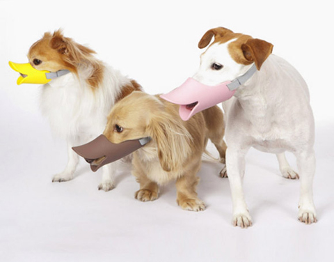 Quack Muzzle, duck-billed protective muzzle for dogs