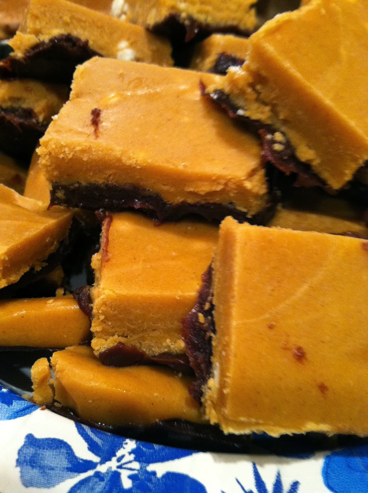 Kimmy's Bakery Pumpkin Spice Pudding Mix