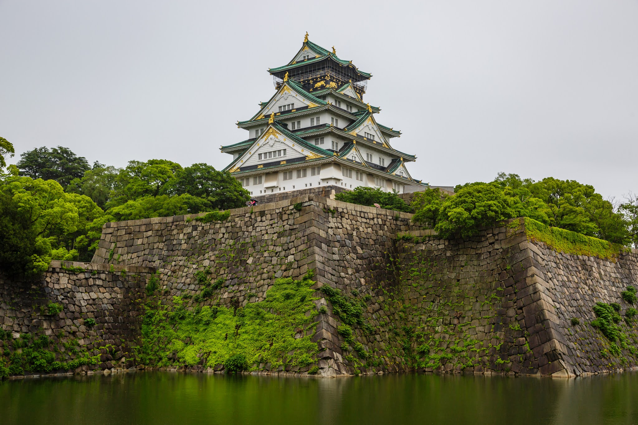 Webster s Google Treking Famous Castles Osaka Castle Japan webster-s-google-treking-famous-castles-osaka-castle-japan