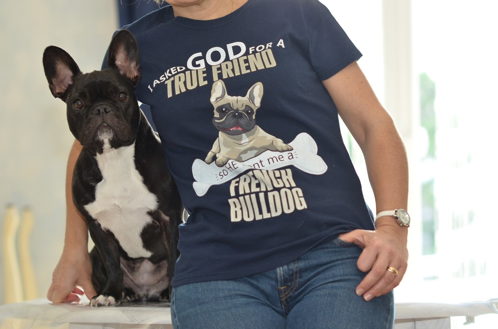 Une boutique spécialement dédiée aux bouledogues lovers