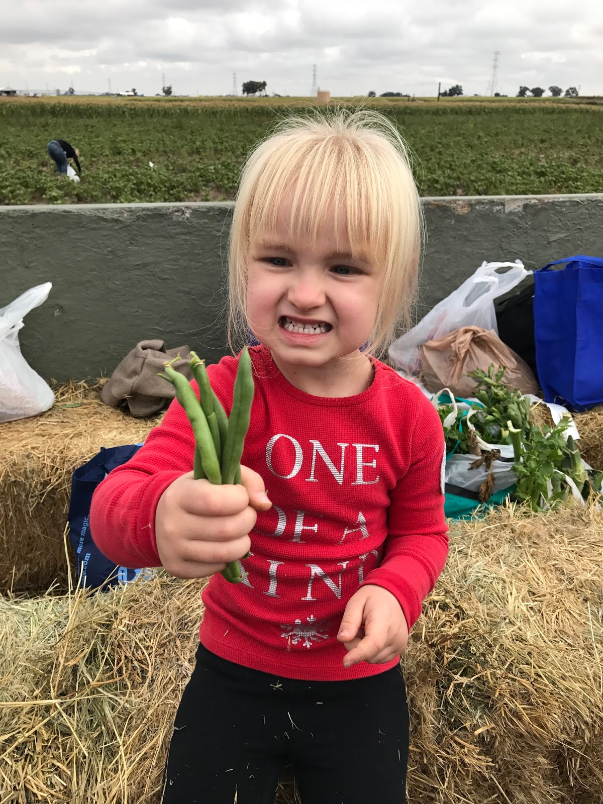 Miller Farms Field Trip Building Our Story