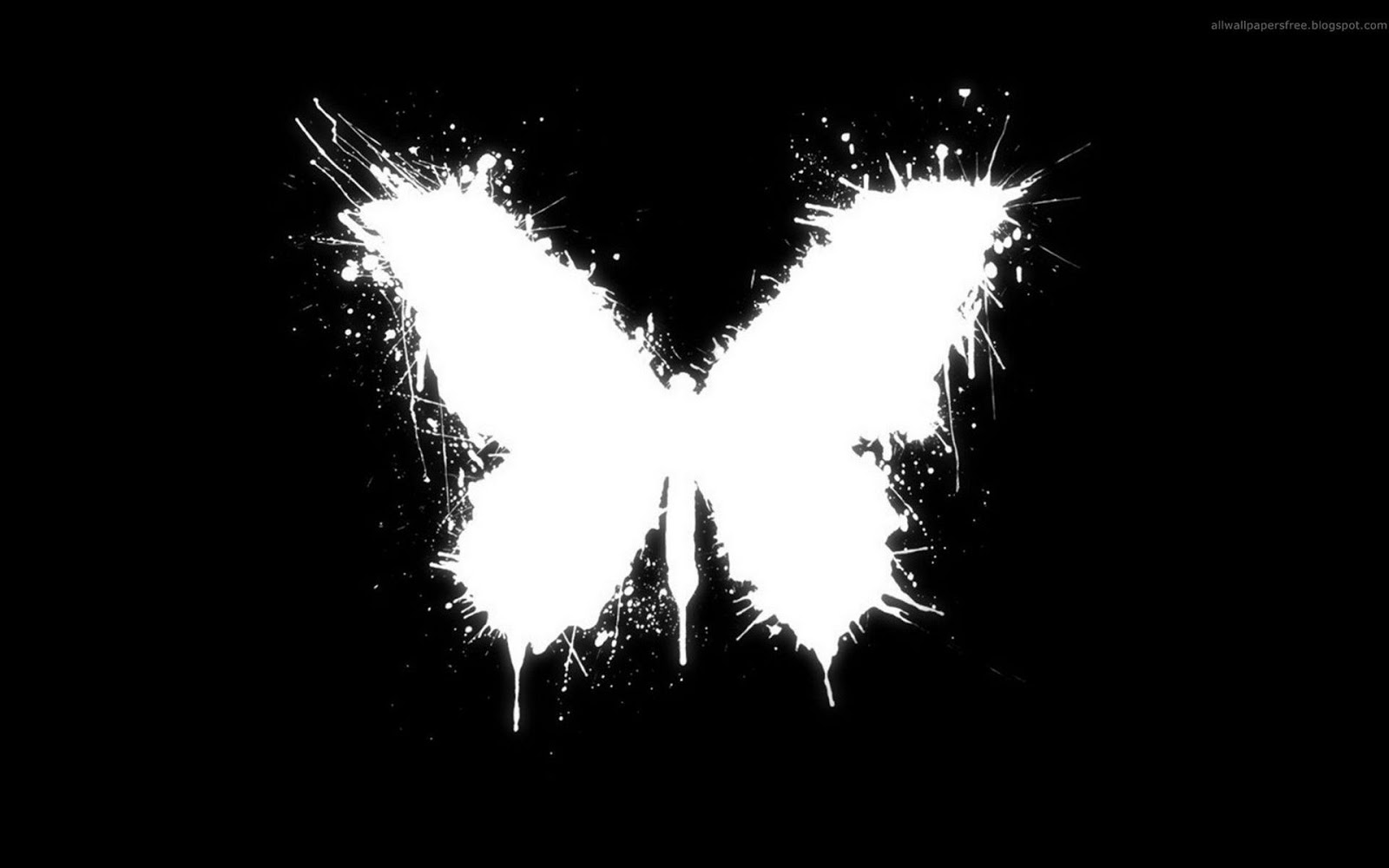 Kreative Discussions: The Butterfly Effect