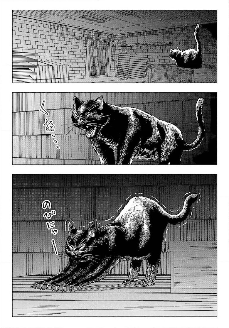 Nyaight of the Living Cat - หน้า 16