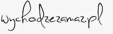 wychodzezamaz.pl