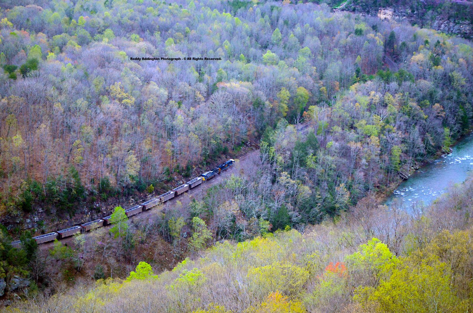The High Knob Landform March 2012 WARM & WET In The HKL