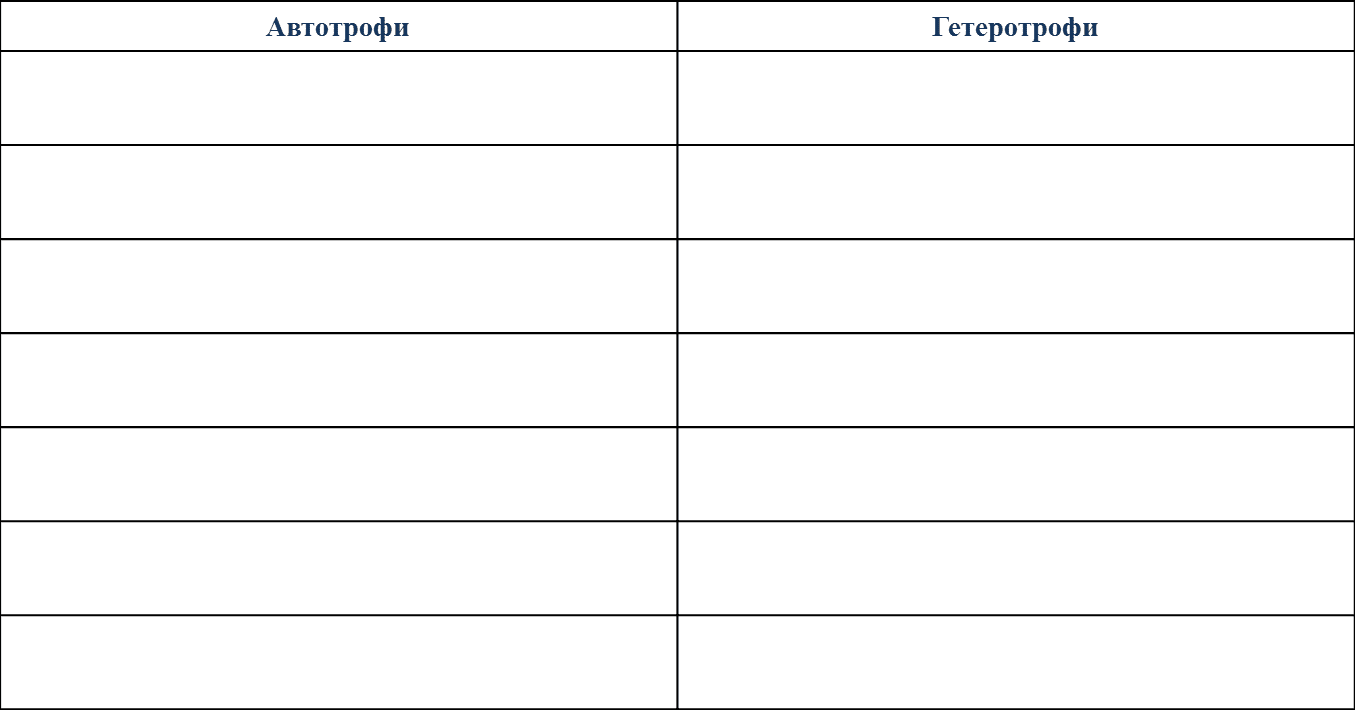 Таблица пустая распечатать. Пустая таблица 3 столбика. Таблица пустая 3 столбца. Таблица пустая 8 столбиков. Пустая таблица 2 столбца 3 строки.