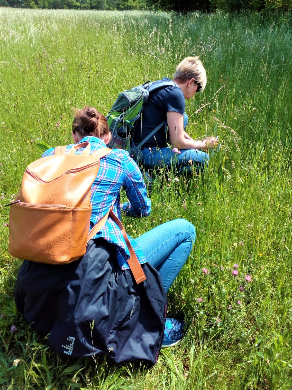 Krauterwandern Naturkosmetik Selber Machen Grune Kosmetik