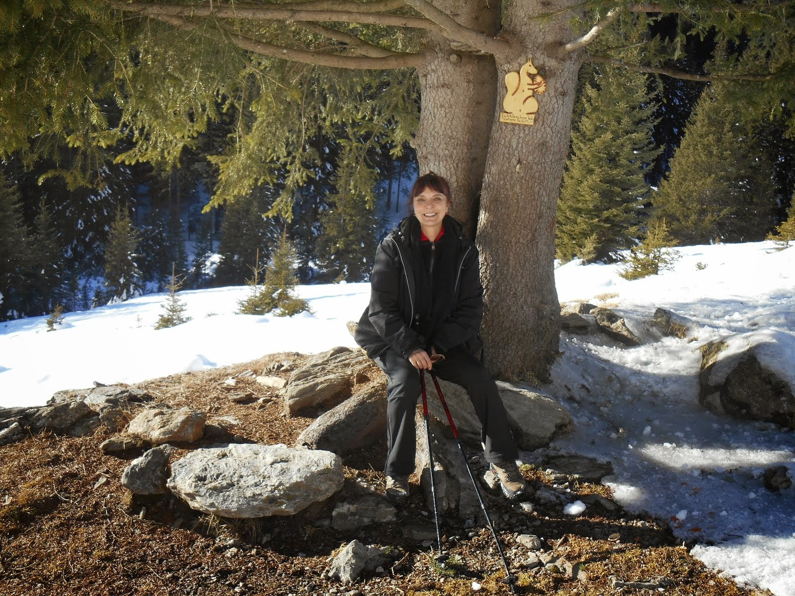 Nel bosco innevato