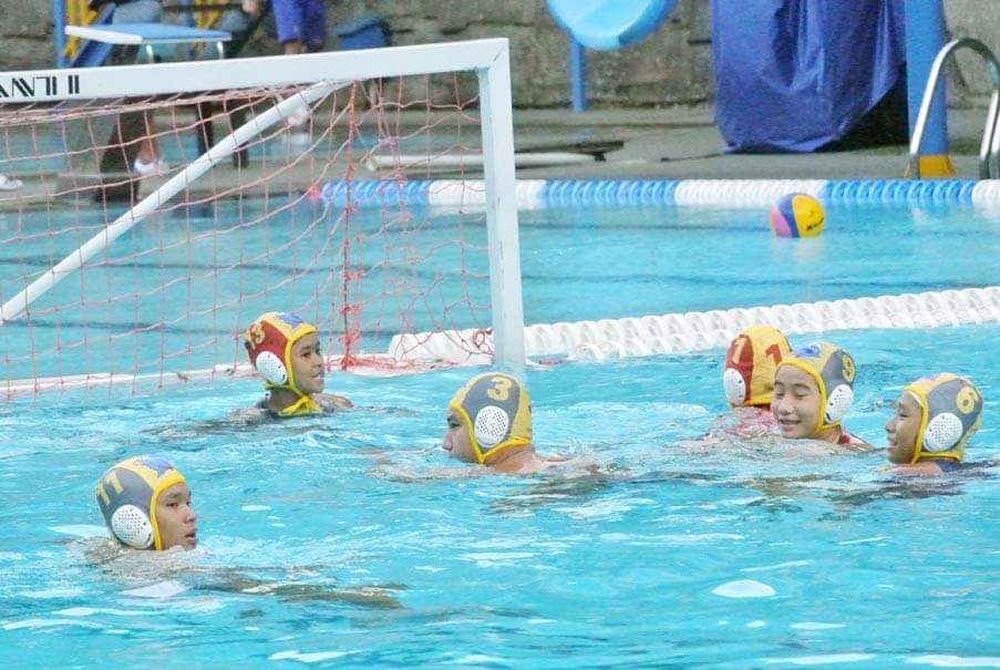 Olahraga Air Lengkap Renang Loncat Indah Dan Polo Air Wawasanku