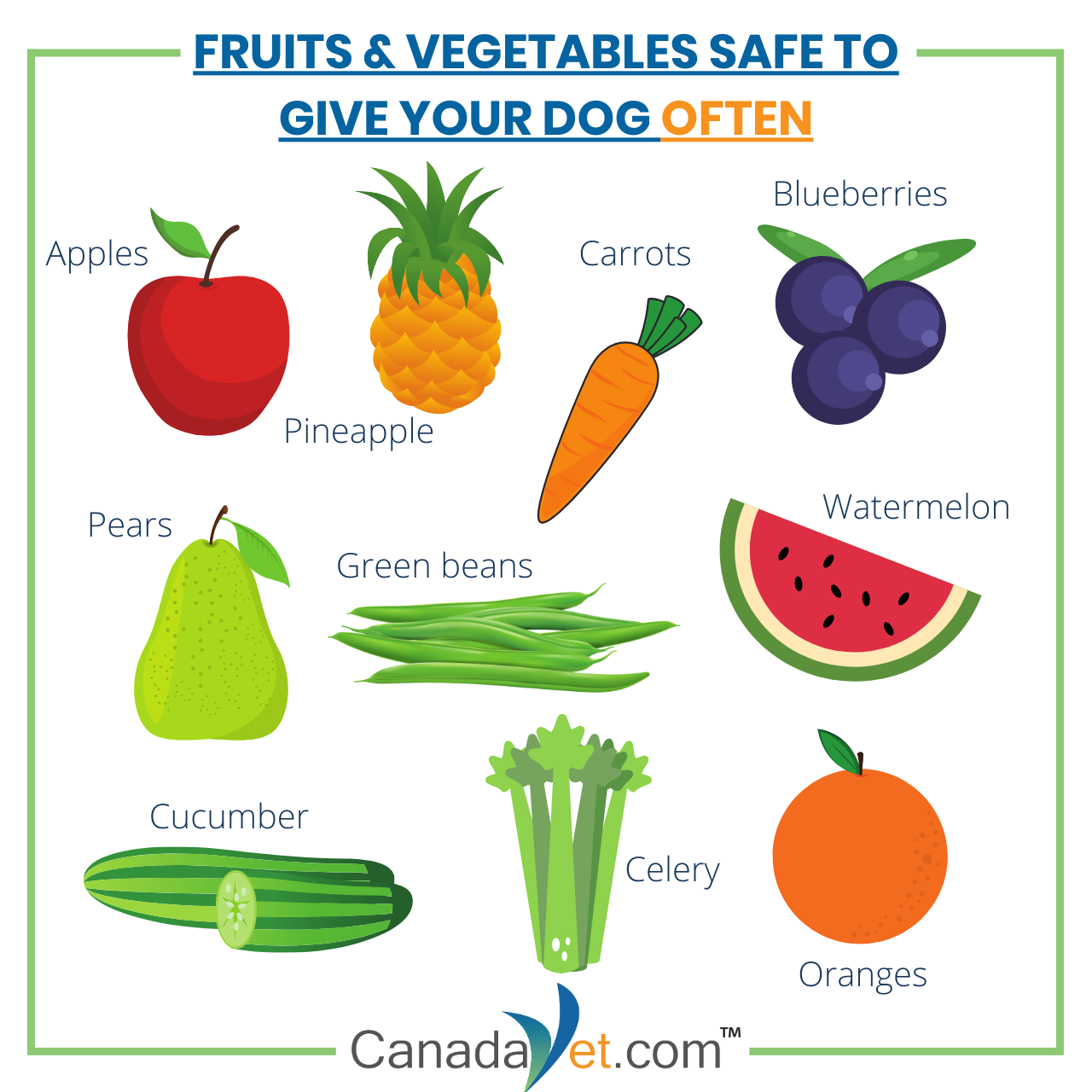 Fruits And Vegetables Your Dog Can Safely Eat CanadaVet Pet Supplies fruits-and-vegetables-your-dog-can-safely-eat-canadavet-pet-supplies