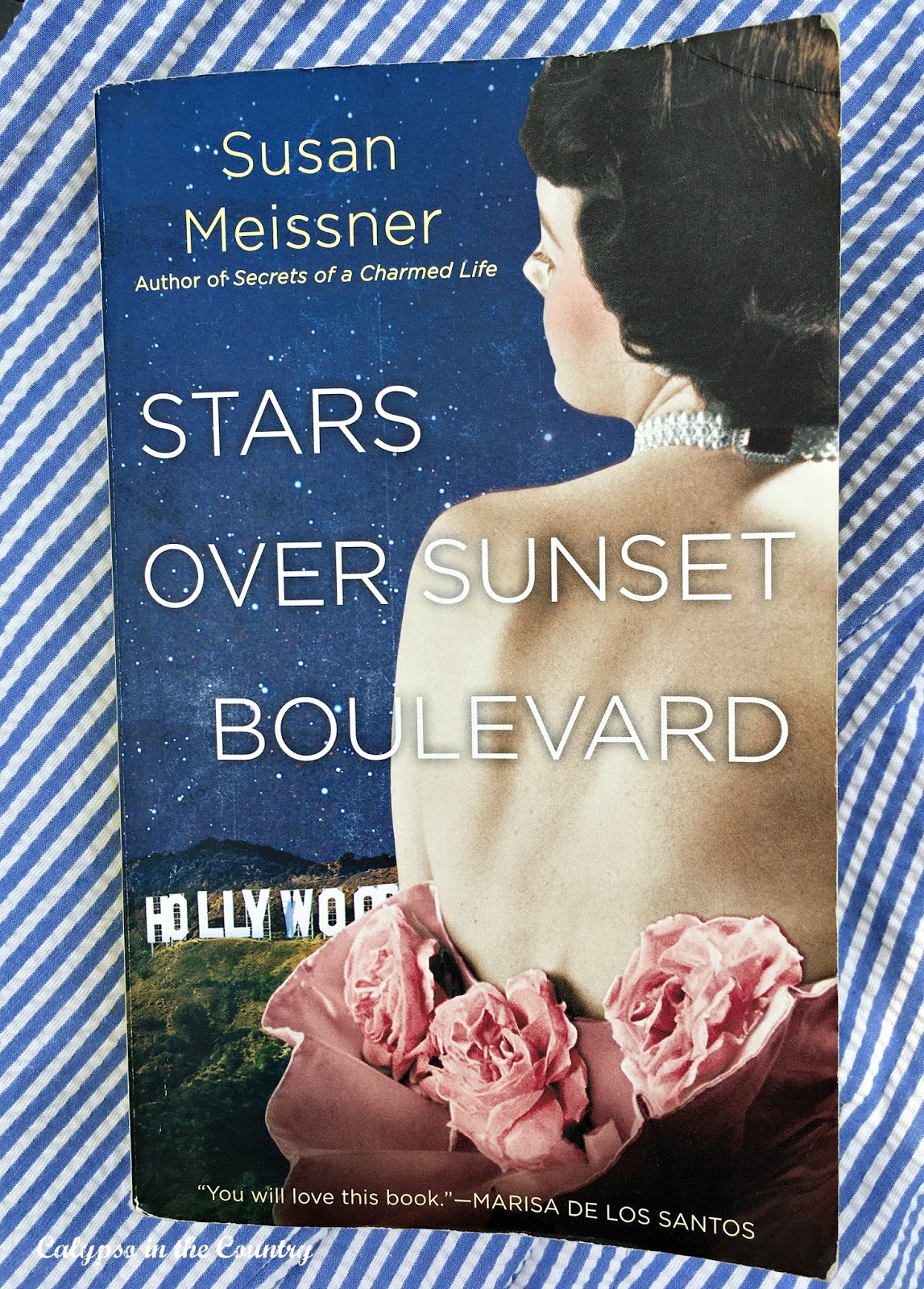 Stars Over Sunset Boulevard Starts Over Sunset Boulevard - Historical Fiction about the filming of Gone with the Wind