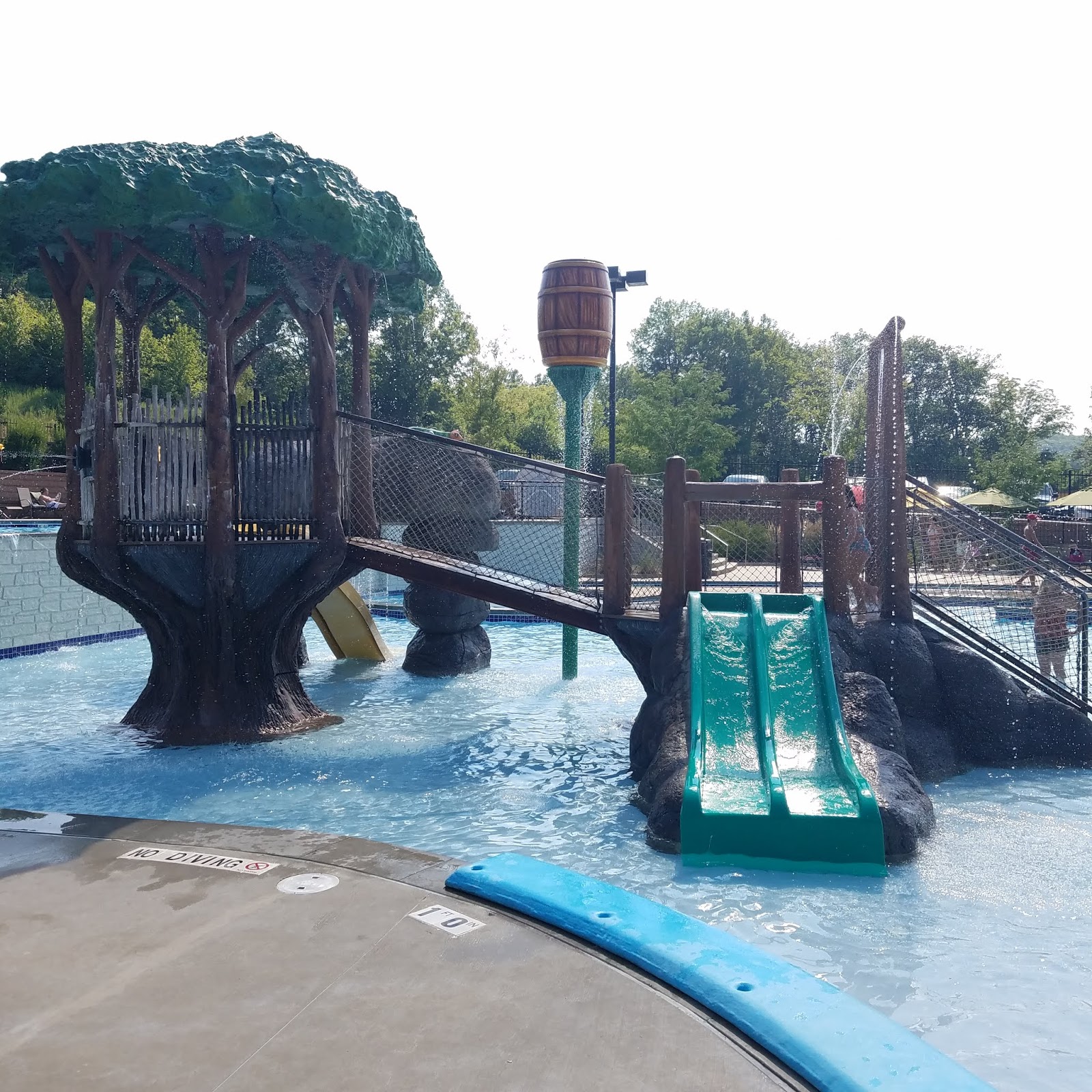 Play St. Louis Timbers of Eureka Pool, Eureka