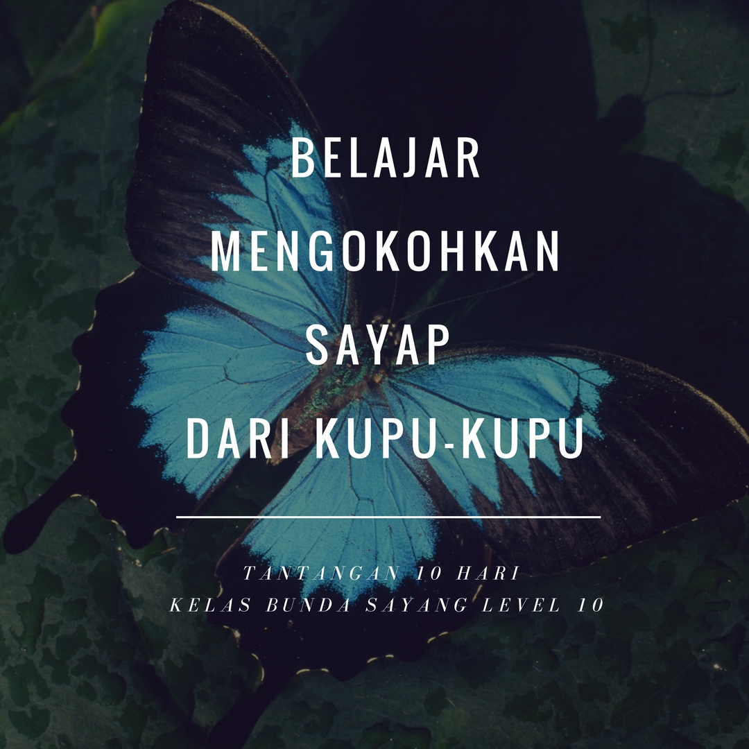 BundSay Game 10 Day 2 Belajar Mengokohkan Sayap Dari Kupu Kupu BundSay Game 10 Day 2 Belajar Mengokohkan Sayap Dari Kupu Kupu