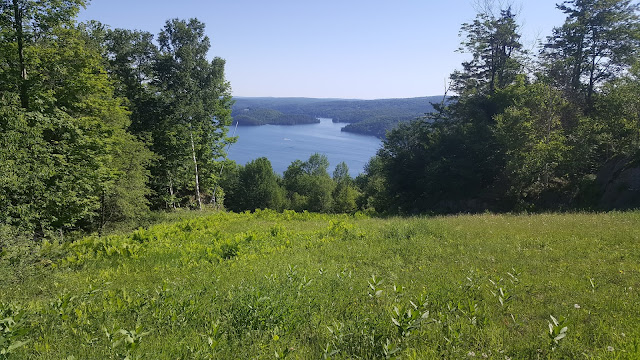 Vue à partir du sentier vers le sommet du Owls Head