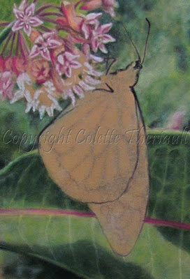 monarch butterfly painting in progress by Colette Theriault