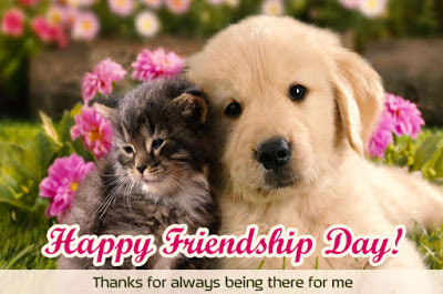 Latest Happy Friendship Day Photos 2017 And Friendship Day Images For Whatsapp And Facebook Latest Happy Friendship Day Photos 2017 And Friendship Day Images For Whatsapp And Facebook