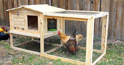 chicken coops diy coop charming cheap