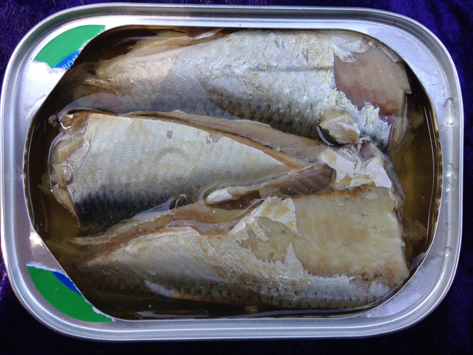 Mouth Full of Sardines NORTHERN CATCH 25