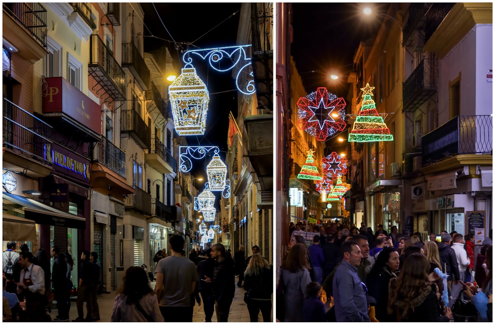 Luckydog Adventures: Our Christmas in Seville