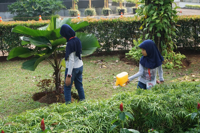 Menyiram tanaman Perencanaan, Kesehatan, Anak, Keuangan/Financial, Parenting, Ulasan, Lingkungan, Kreatifitas, Jalan-jalan, Games, Cha-Ching,