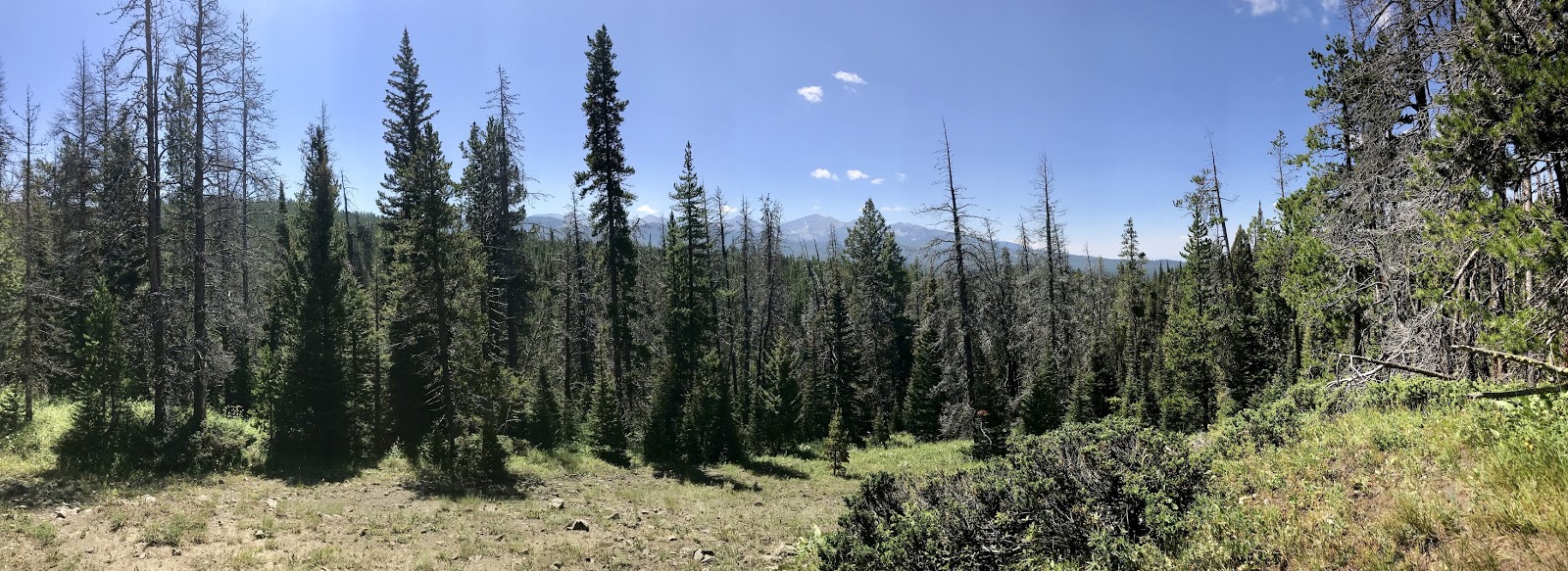 Alpacas Of Montana Inc An Overview Of Everything Alpaca