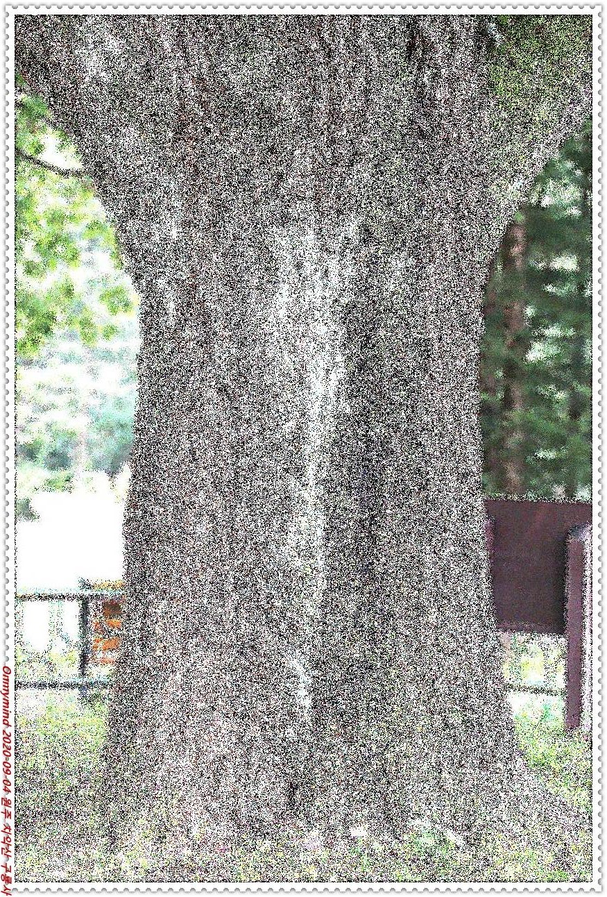 원주 구룡사 원주 구룡사