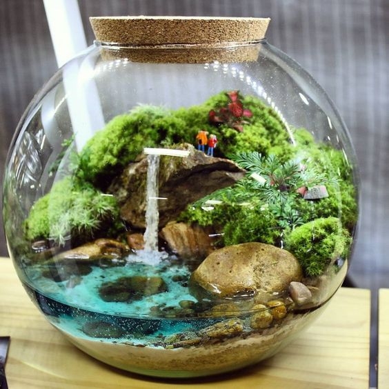 38 Fantastic Ideas For Beautiful DIY Terrariums ARA HOME