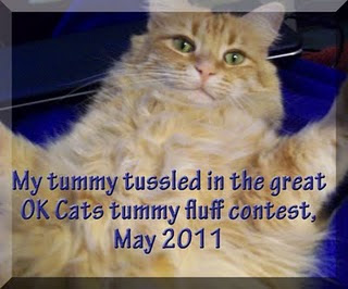 2011 Tummy Fluff Contest