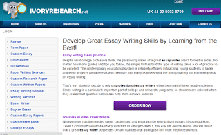 Essay writer net