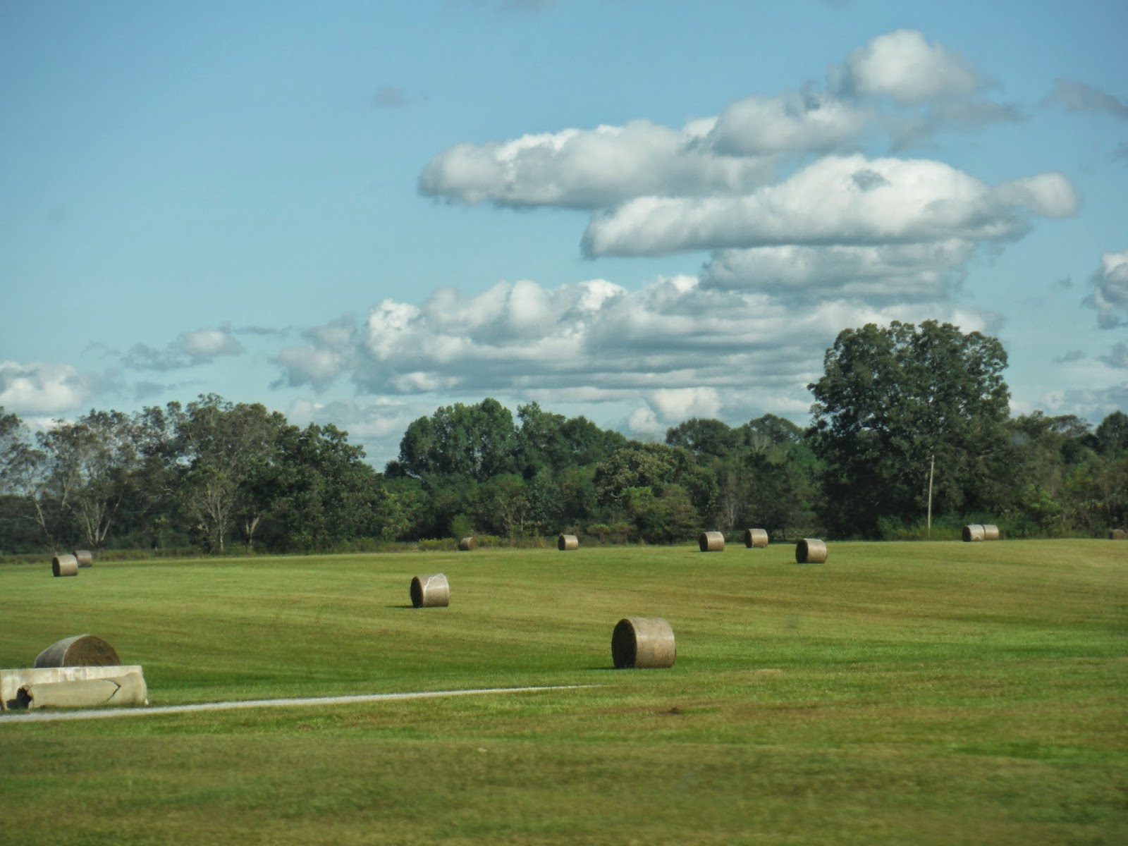 Florida Tallahassee Mission Aaaahhh.....beautiful rural Alabama