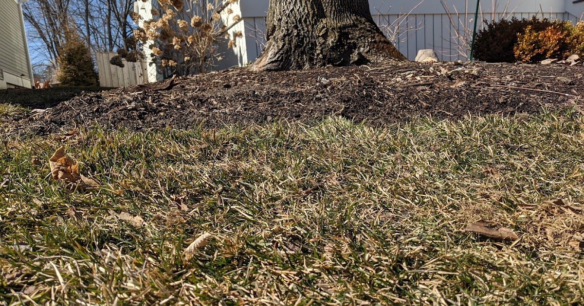 Floating Mulch Solution Installing A Small Retaining Ledge
