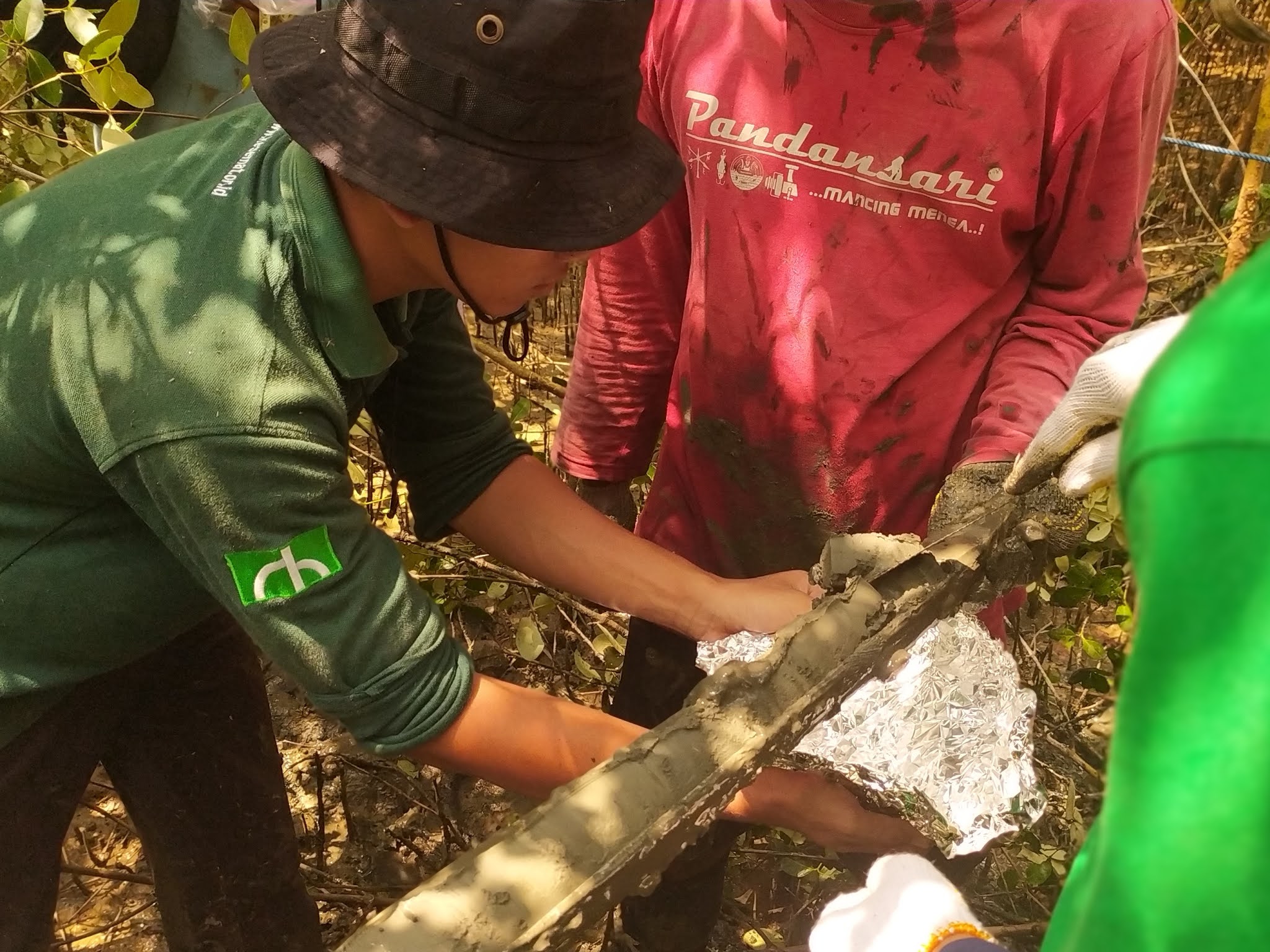 Jasa Konsultasi Vegetasi dan Tutupan Tajuk Mangrove