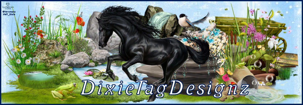 Dixie Tag Designz