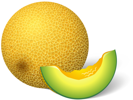 Gambar Buah Melon Segar Aku Buah Sehat Gambar Buah Melon Segar Aku Buah Sehat