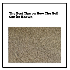 The Best Tips on How The Soil Can be Known