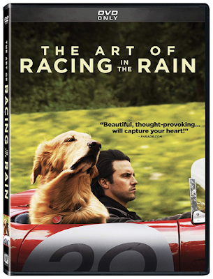 the art of racing in the rain dvd cover