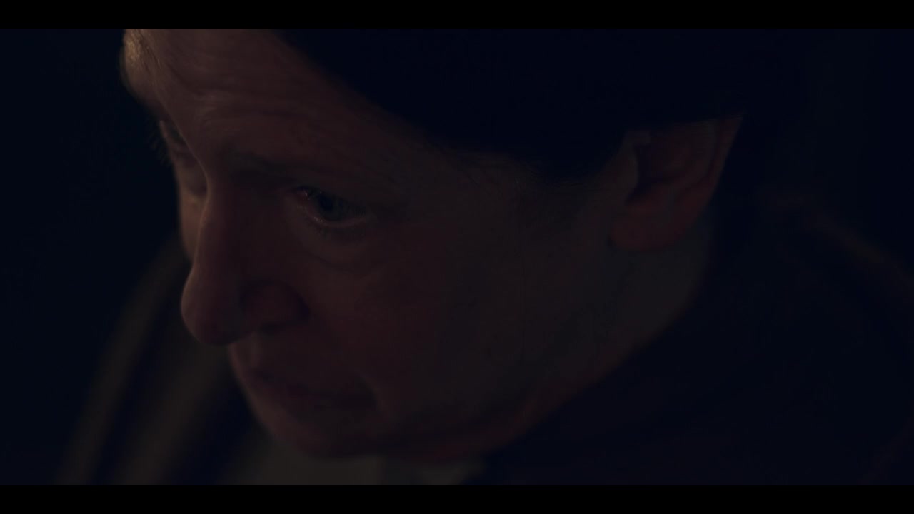 The Handmaid's Tale Chicago Review