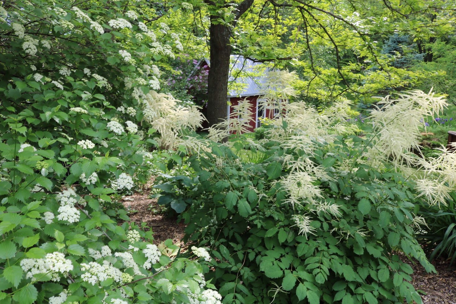 Gardening Good Dinner Mrs Mellen