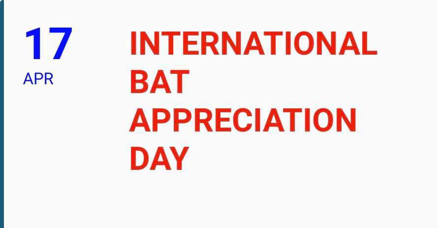 International Bat Appreciation Day Wishes Unique Image International Bat Appreciation Day Wishes Unique Image
