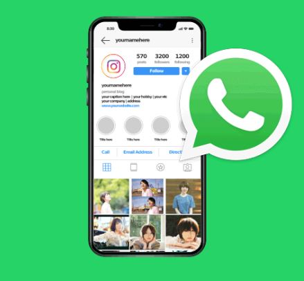 Cara Membuat Link Whatsapp di Instagram Tanpa Aplikasi Tambahan