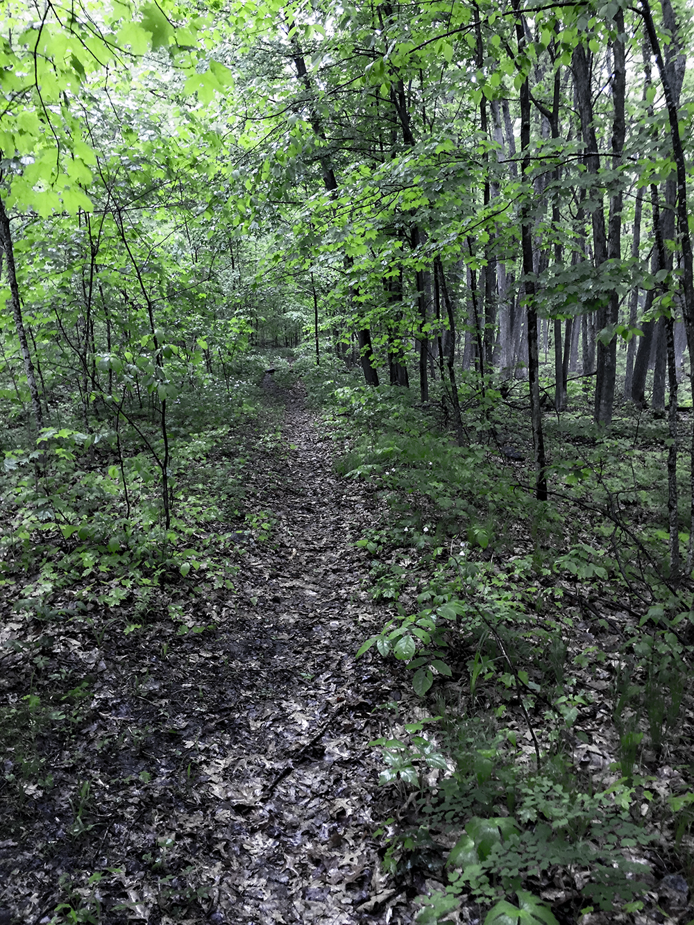 Baxter Hollow in North Freedom WI