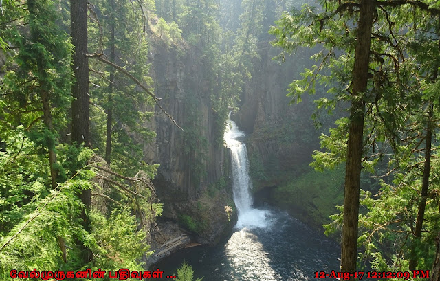 Oregon Waterfalls Toketee Falls