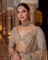 Tamannaah Bhatia (Indian Actress) Biography, Wiki, Age, Height, Family, Career, Awards, and Many More