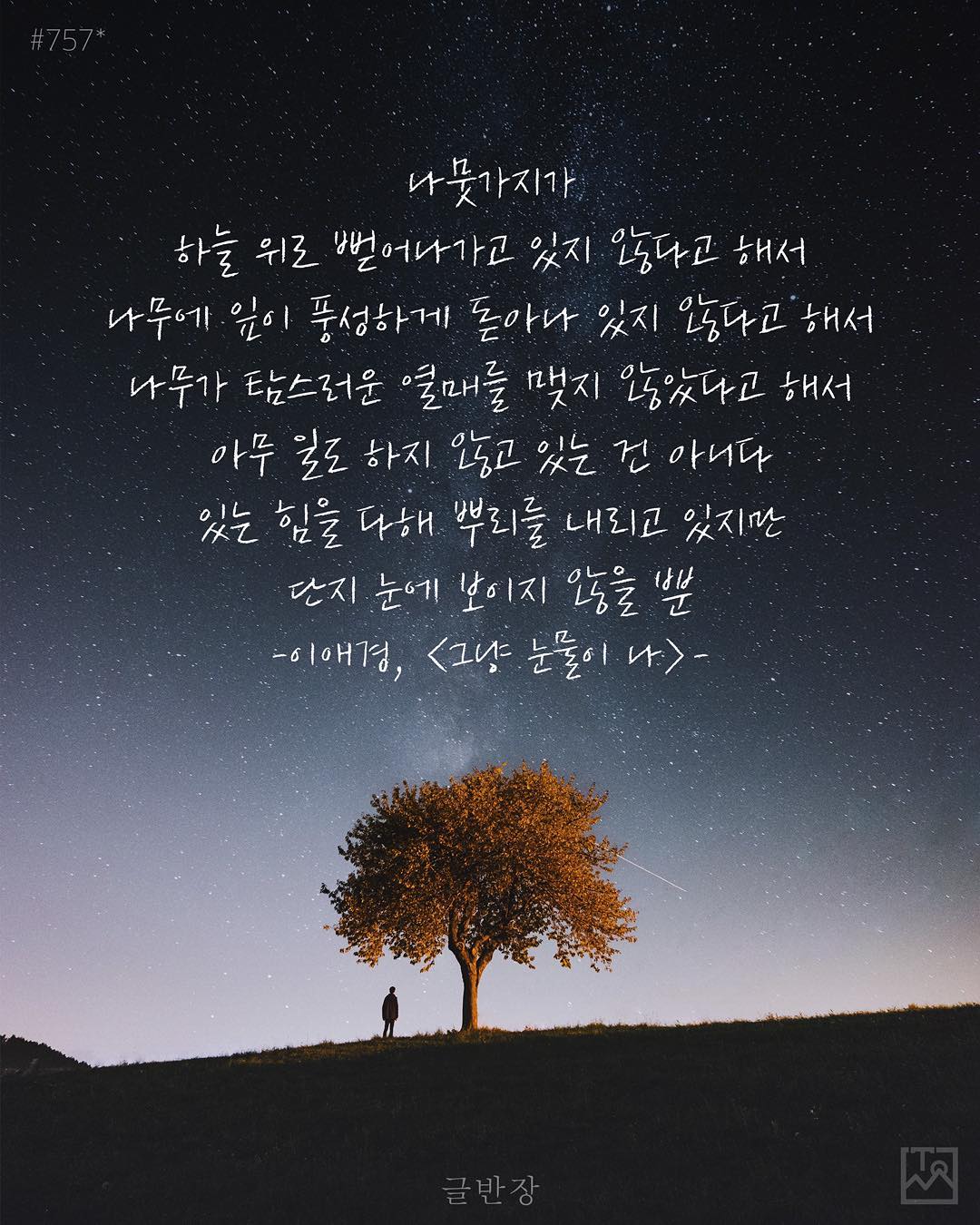 단지 눈에 보이지 않을 뿐 - 이애경, <그냥 눈물이 나>